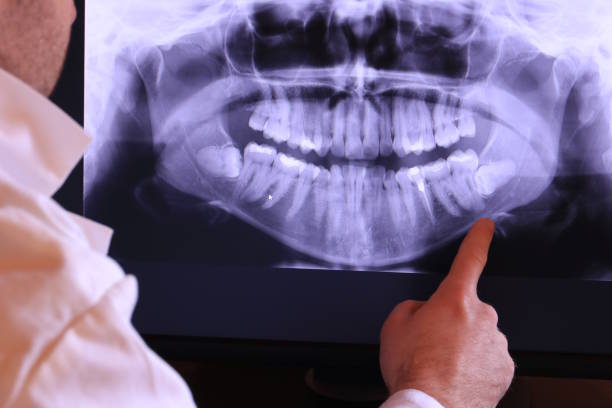 Best Emergency X-Rays and Diagnostics in Menahga, MN